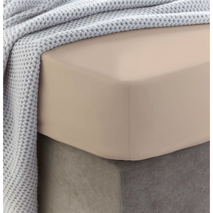 Šūts kokvilnas palags ar gumiju | Frappe - Kokvilnas palags