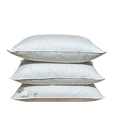 Zosu pūku un spalvu vienvietīgā sega un spilvens