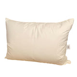 Zosu pūku un spalvu vienvietīgā sega un spilvens