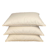 Zosu pūku un spalvu vienvietīgā sega un spilvens